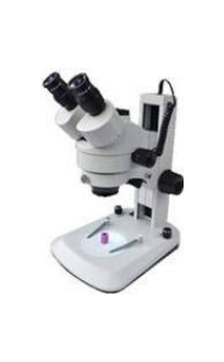 Vigo Call to action Img